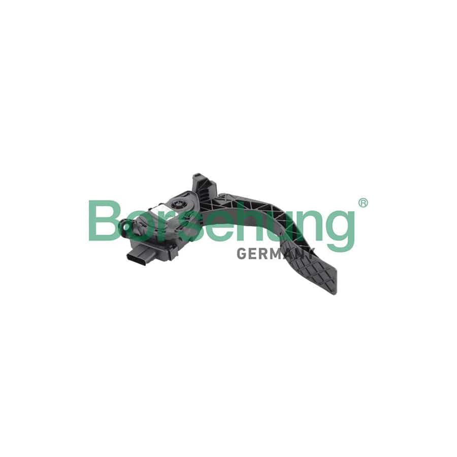 Borsehung B18727 Accelerator Pedal Kit