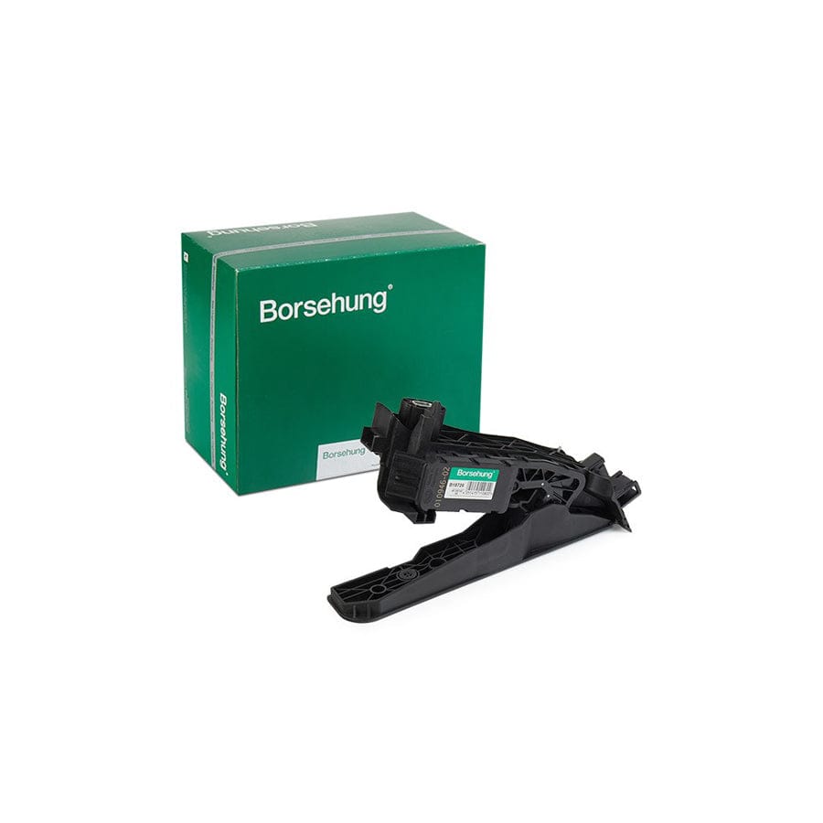 Borsehung B18726 Accelerator Pedal Kit