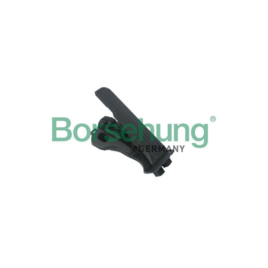 Borsehung B18725 Accelerator Pedal Position Sensor