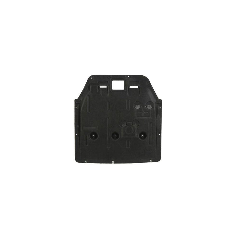 Blic 6601-02-0082861P Skid Plate