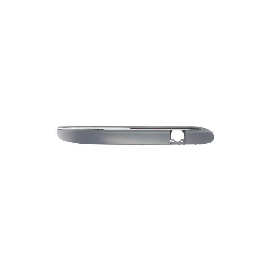 Blic 6502-07-3515928P Bumper Moulding Suitable For Mercedes-Benz C-Class