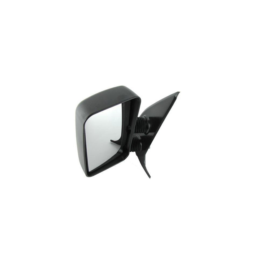 Blic 5402-04-9259911P Wing Mirror