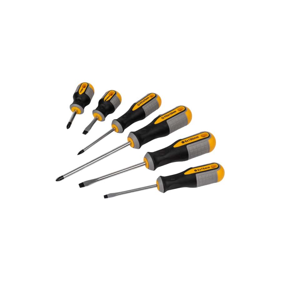 Roughneck ROU22198 Screwdriver Set, 6 Piece | ML Performance UK