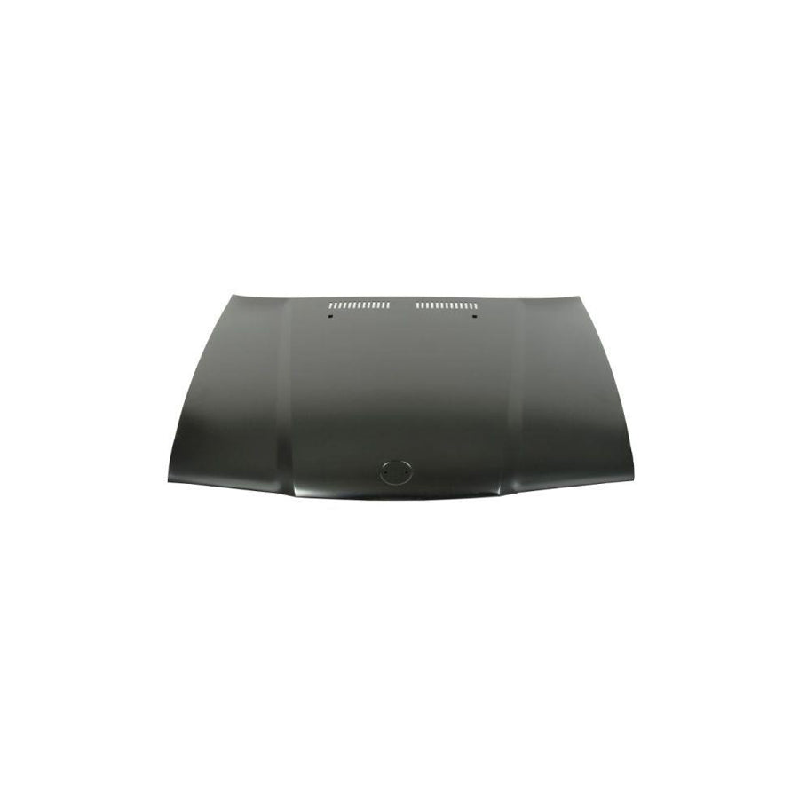 Blic 6803-00-0060285P Bonnet For BMW 3 Series