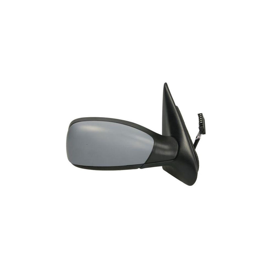 Blic 5402-04-1128282P Wing Mirror For Peugeot 306