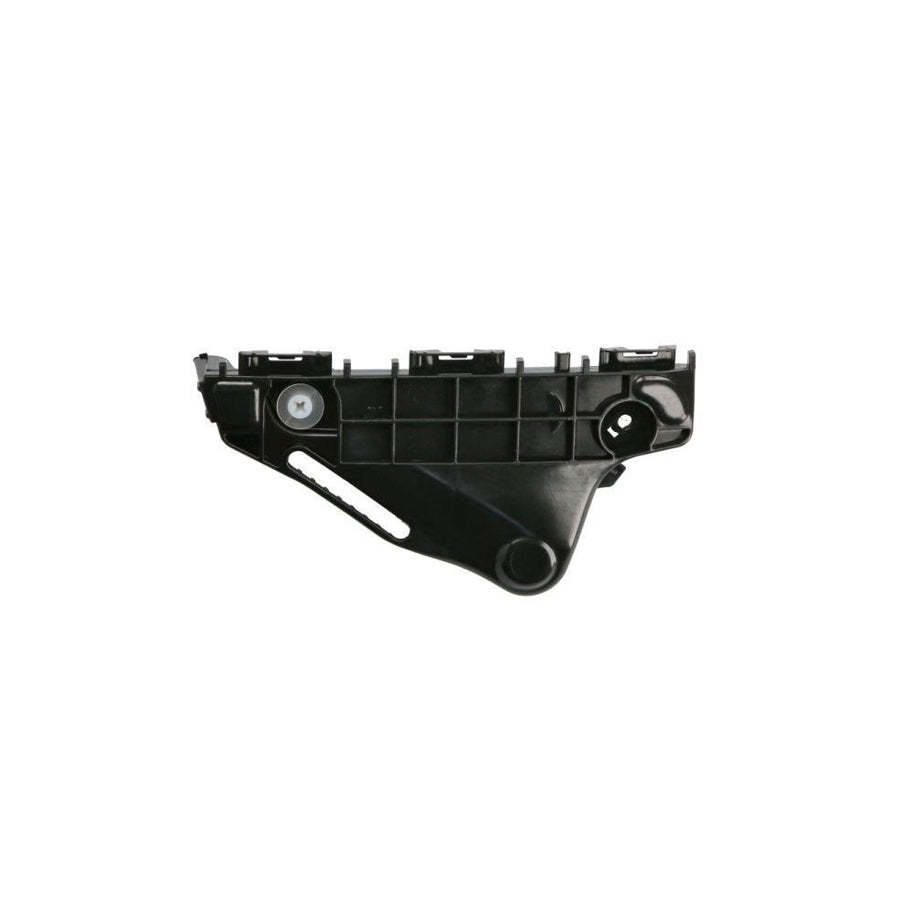 Blic 5506-00-6042951P Bumper Moulding For Renault Scénic II (Jm)