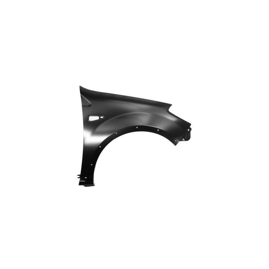 Blic 6504-04-1302314P Wing Fender For Dacia Sandero I (Sd)