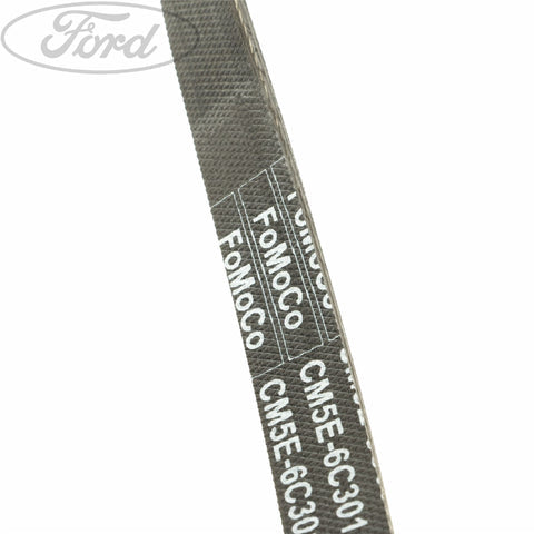 GENUINE FORD 5162162 DRIVE V BELT | ML Performance UK