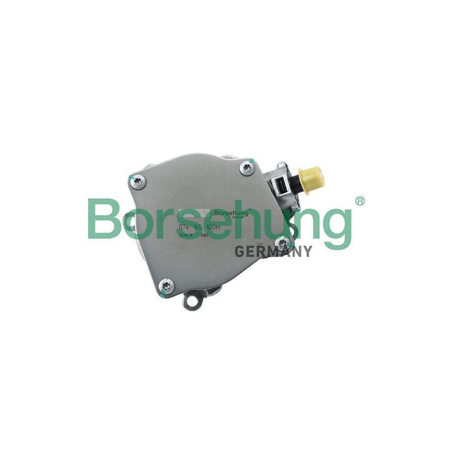 Borsehung B18774 Brake Vacuum Pump