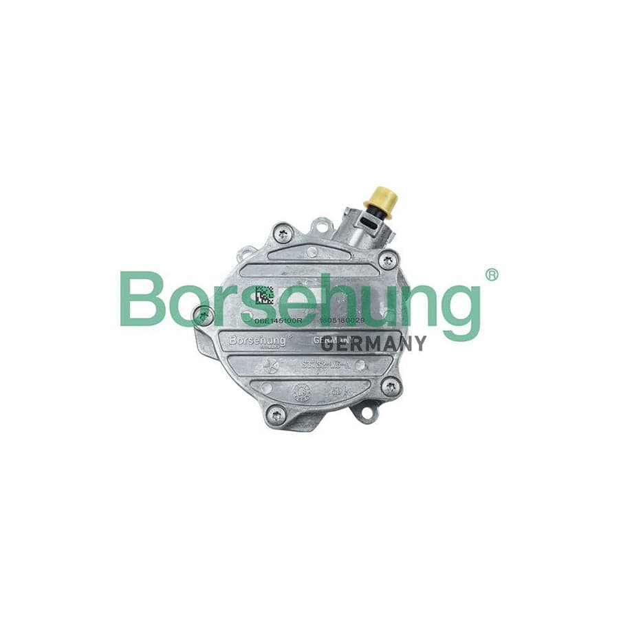 Borsehung B18773 Brake Vacuum Pump