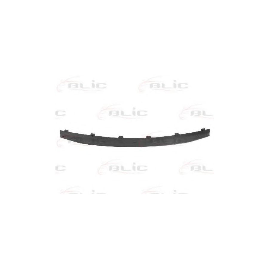 Blic 6502-07-1302992P Trim / Protective Strip, Radiator Grille For Dacia Sandero I (Sd)