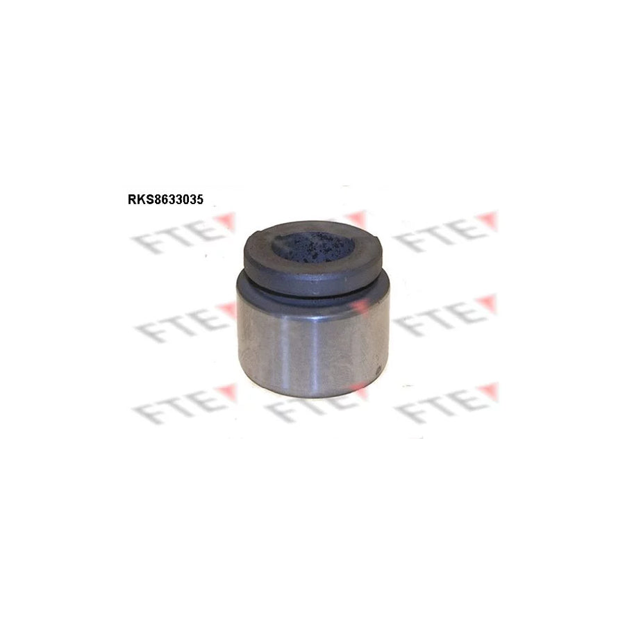 Fte 9313042 Piston, Brake Caliper | ML Performance UK Car Parts