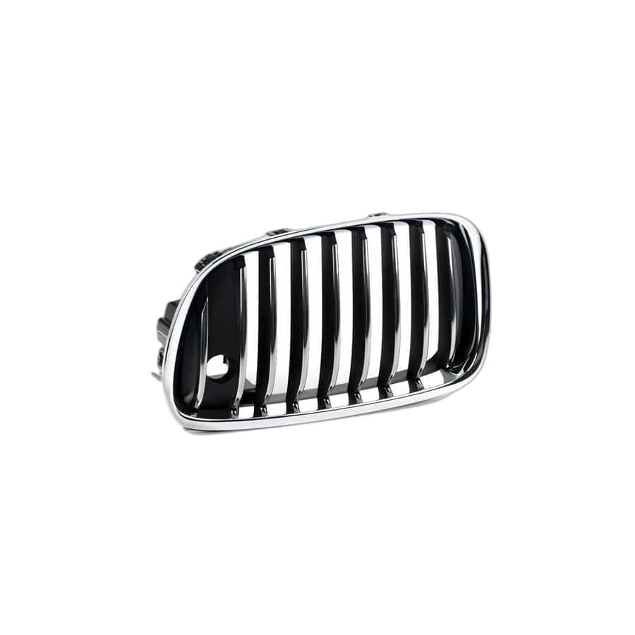 Genuine BMW 51137336483 F07 Grille, Front, Left NIVI (Inc. 550iX 4.0, 528i & 535d) | ML Performance UK Car Parts