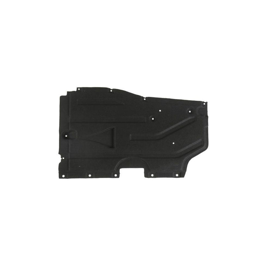 Blic 6601-02-0093982P Engine Cover For BMW X3 (F25)