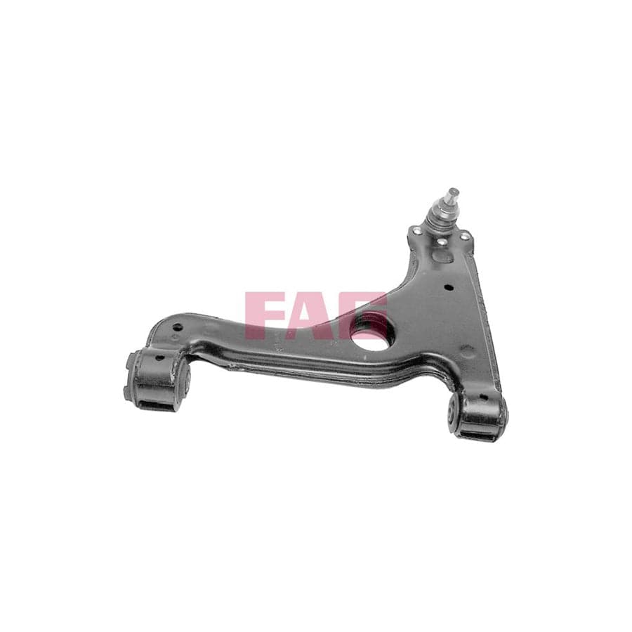 FAG 821 0283 10 Suspension Arm