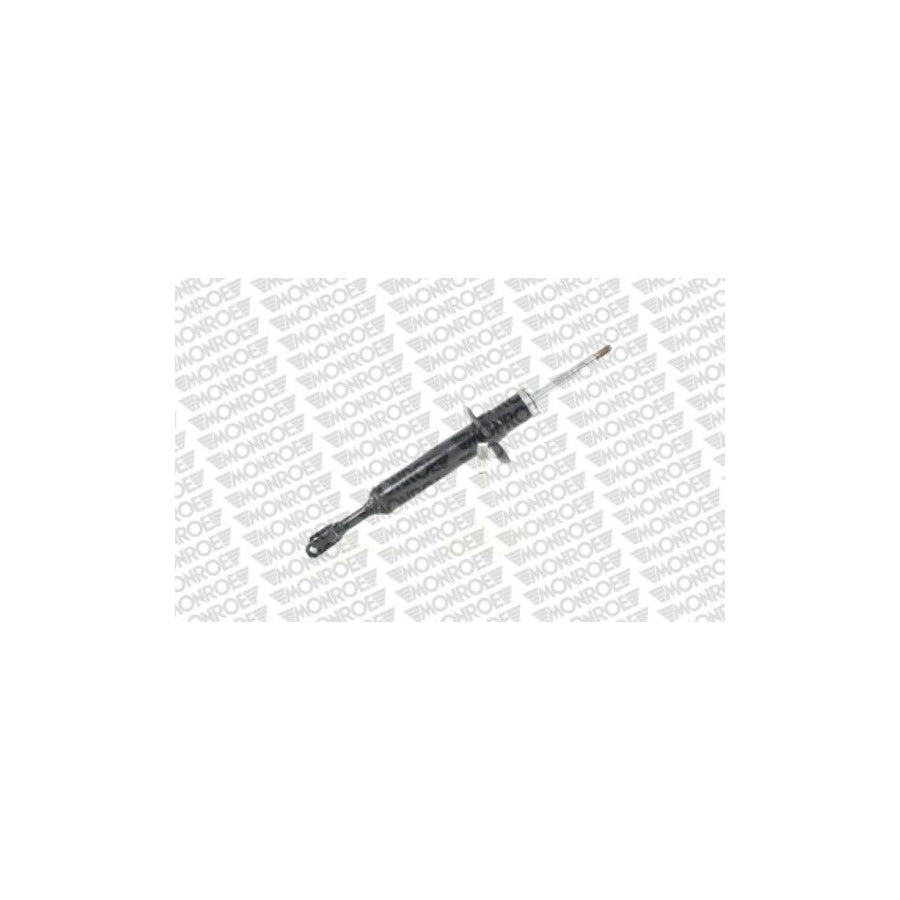 Monroe E2079 Shock Absorber