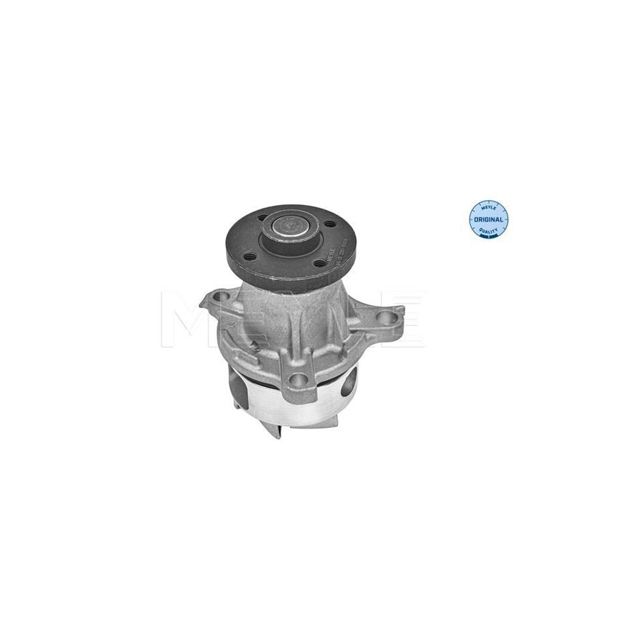 Meyle 39-13 220 0005 Water Pump