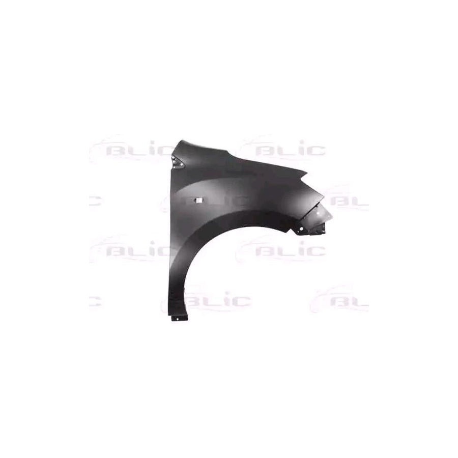 Blic 6504-04-1310312P Wing Fender