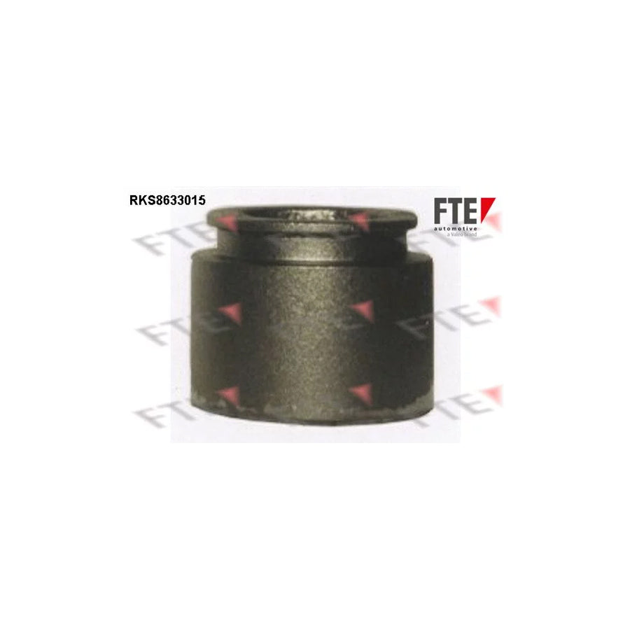 Fte 9313037 Piston, Brake Caliper | ML Performance UK Car Parts