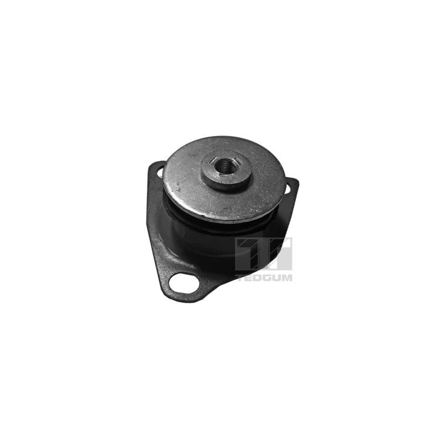 Tedgum 00059503 Mounting, Axle Bracket | ML Performance UK Car Parts