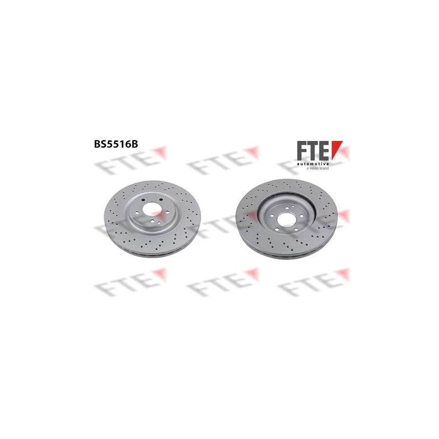 Fte 9081251 Brake Disc | ML Performance UK Car Parts