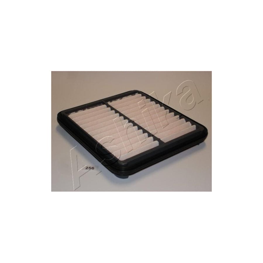 ASHIKA 20-02-256 Air Filter | ML Performance UK Car Parts