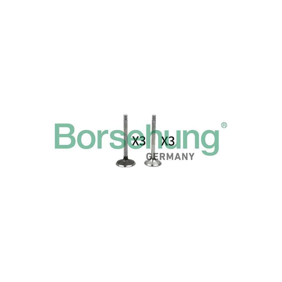 Borsehung B18765 Valve