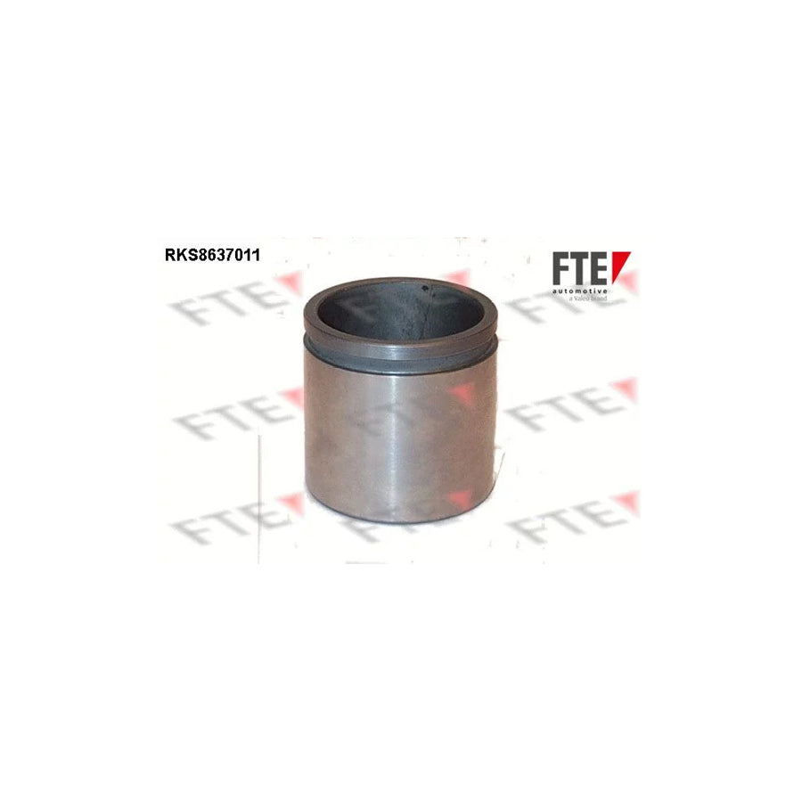 Fte 9313064 Piston, Brake Caliper | ML Performance UK Car Parts