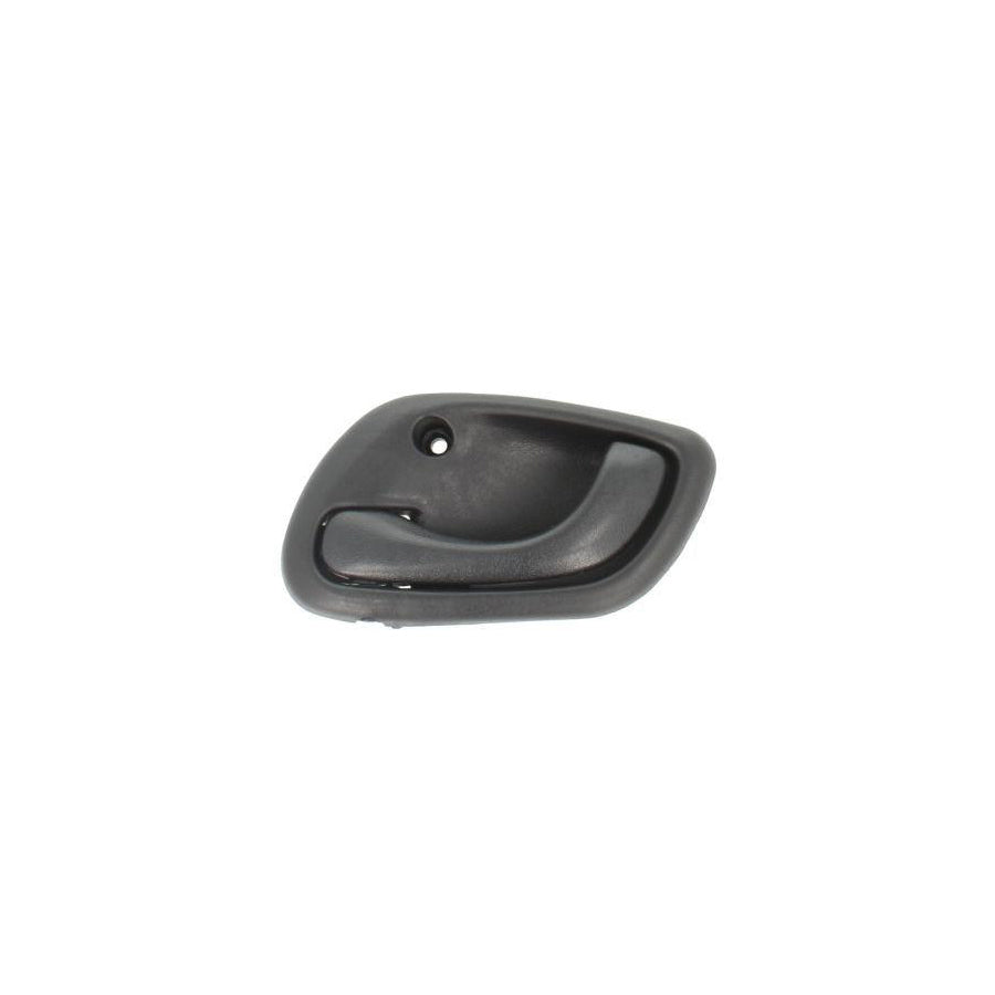 Blic 6010-18-014409P Door Handle