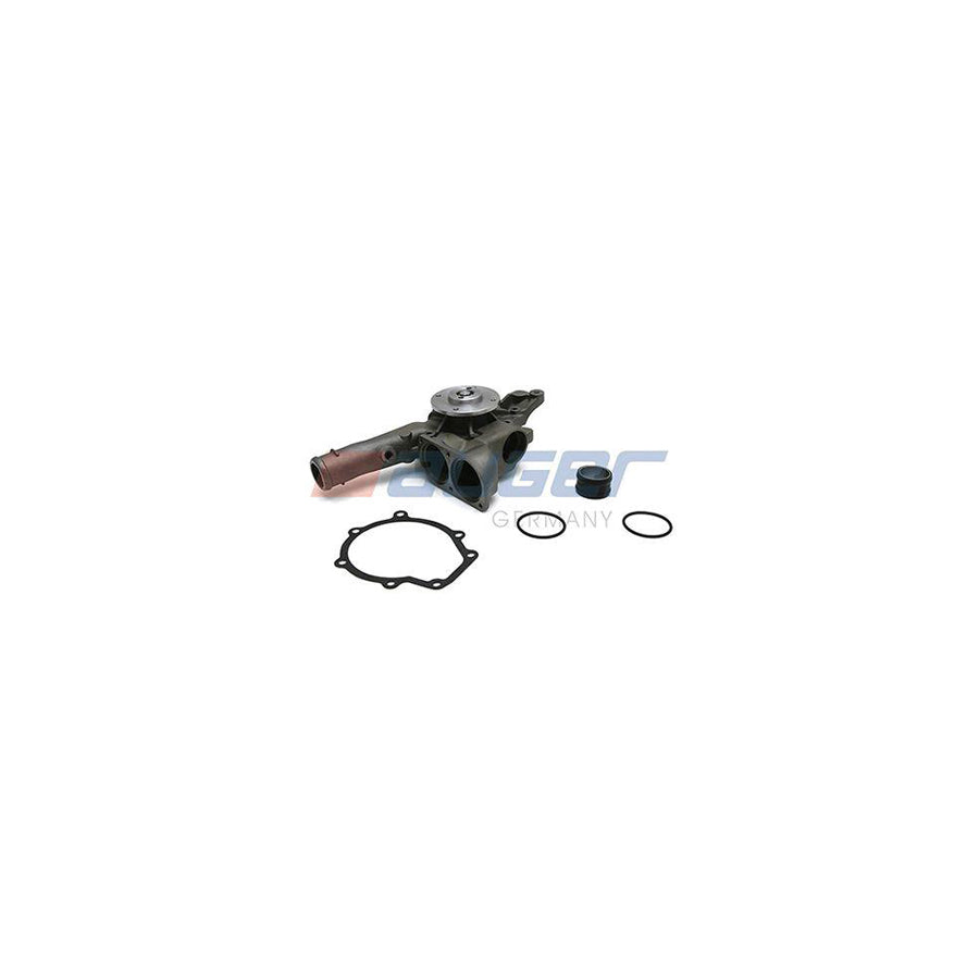 Auger 81829 Water Pump