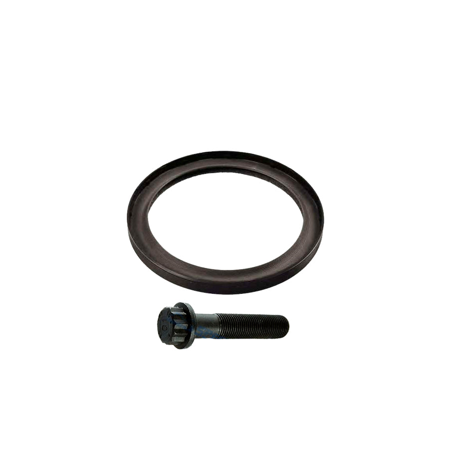 Sachs 3423 601 009 Repair Kit, Flywheel