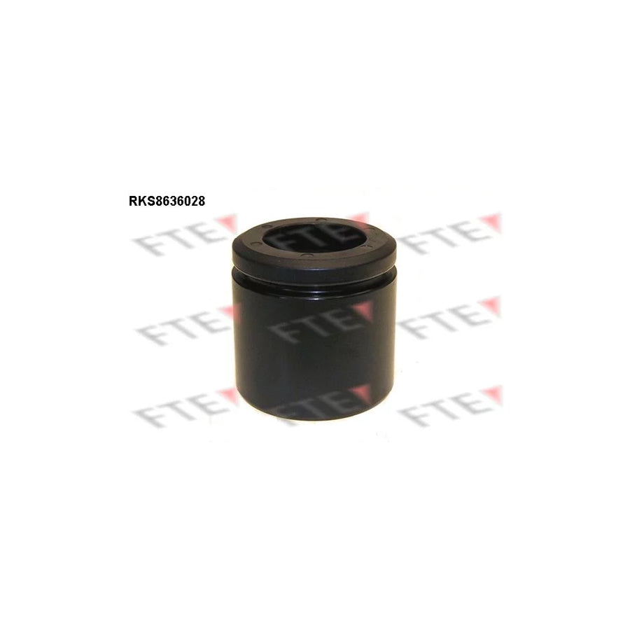 Fte 9313061 Piston, Brake Caliper | ML Performance UK Car Parts