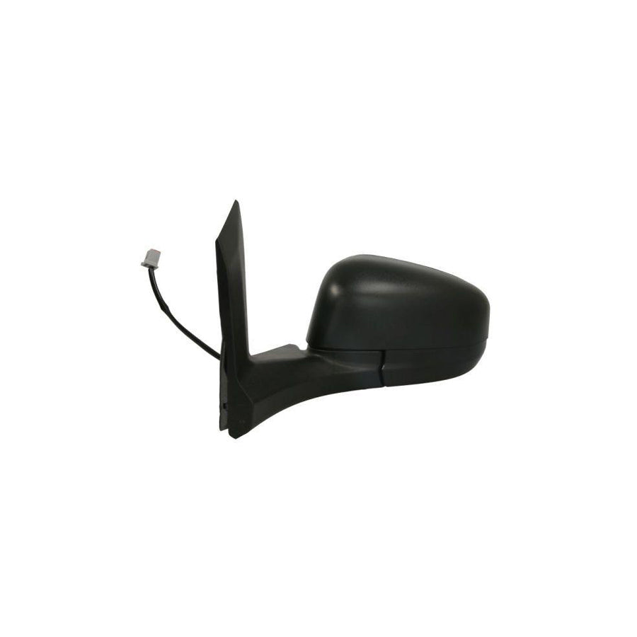 Blic 5402-03-2001263P Wing Mirror