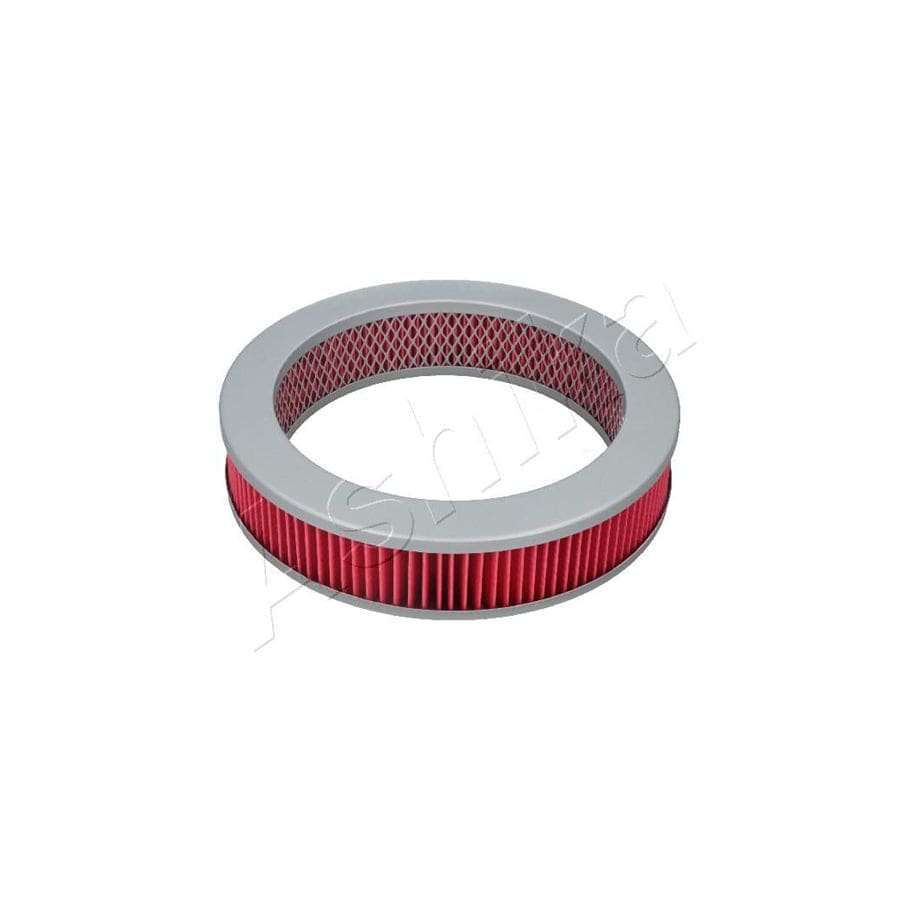 ASHIKA 20-01-102 Air Filter | ML Performance UK Car Parts