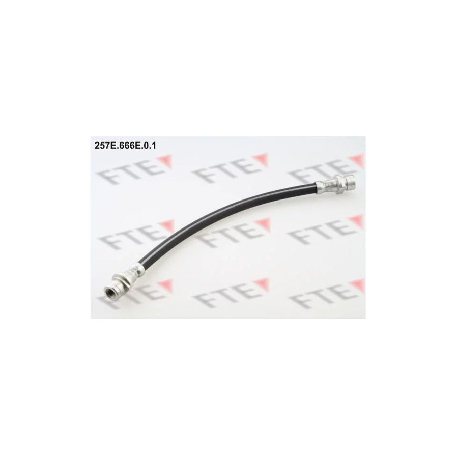 Fte 257E.666E.0.1 Brake Hose | ML Performance UK Car Parts