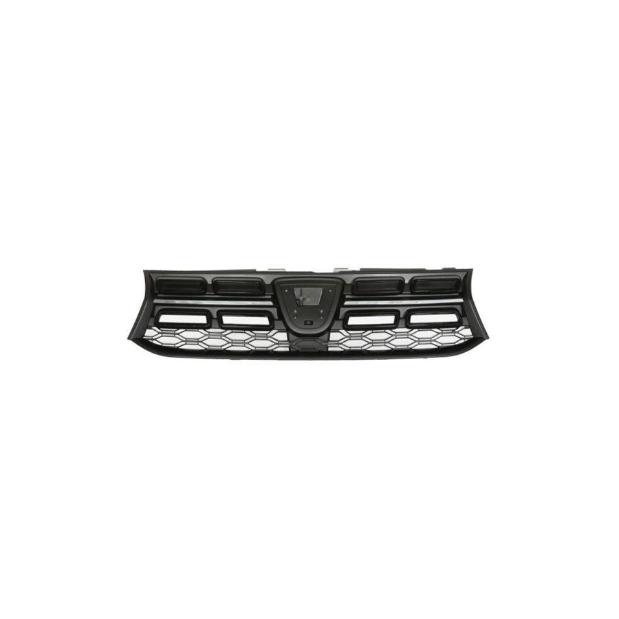 Blic 6502-07-1304990P Radiator Grille