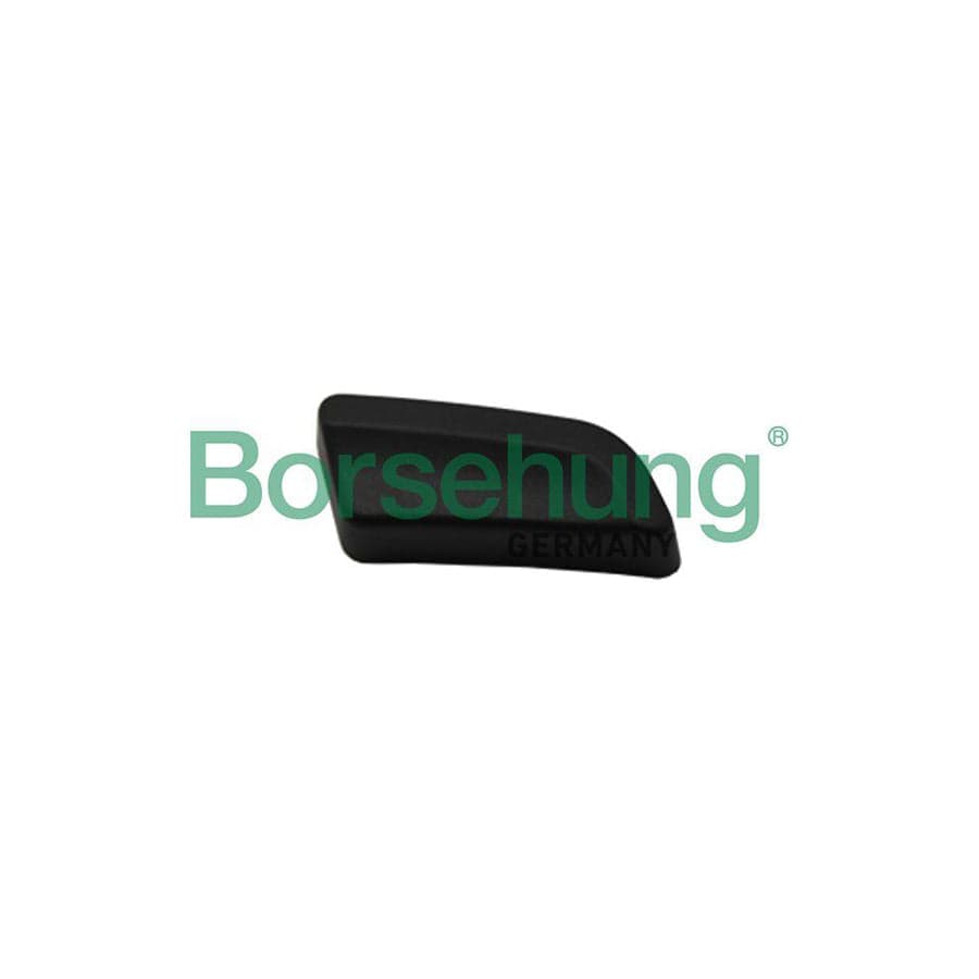 Borsehung B11424 Switch Cover