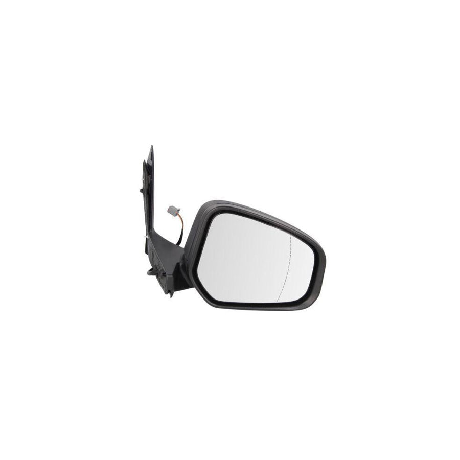 Blic 5402-03-2001258P Wing Mirror