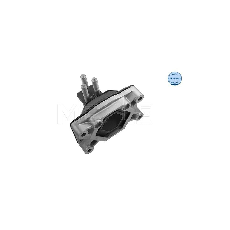 Meyle 12-34 030 0001 Engine Mount