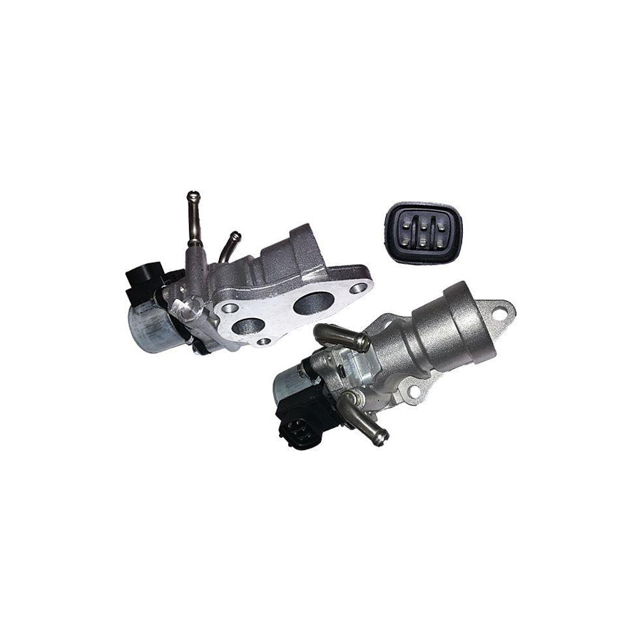 Bugiad BGR13092 Egr Valve