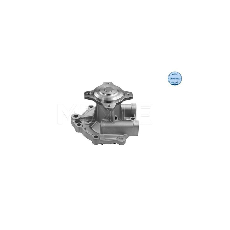 Meyle 33-13 220 0005 Water Pump