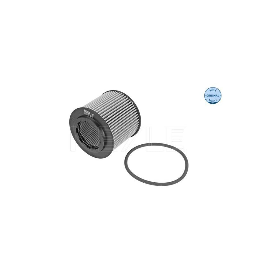 Meyle 100 322 0007 Oil Filter