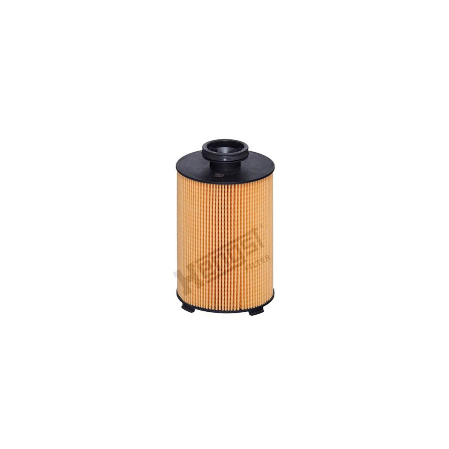 Hengst Filter E1300Kp03 D381 Fuel Filter