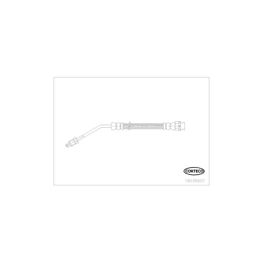 Corteco 19036601 Brake Hose For Bmw Z4 | ML Performance UK