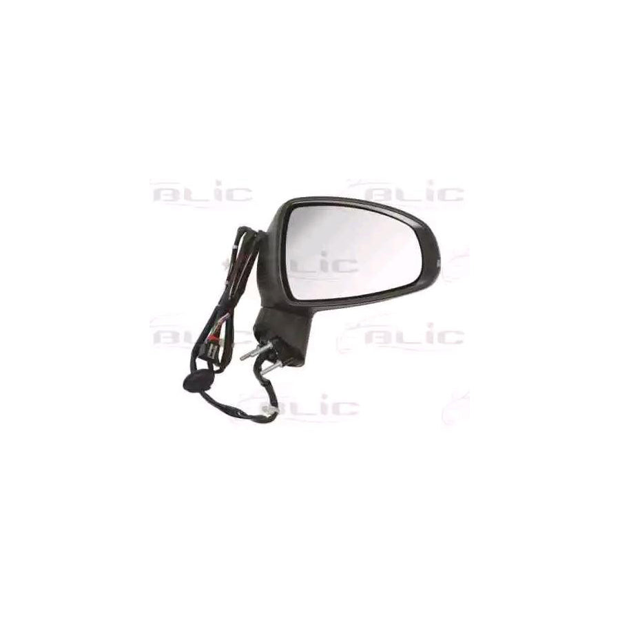 Blic 5402-25-044366P Wing Mirror For Audi A1