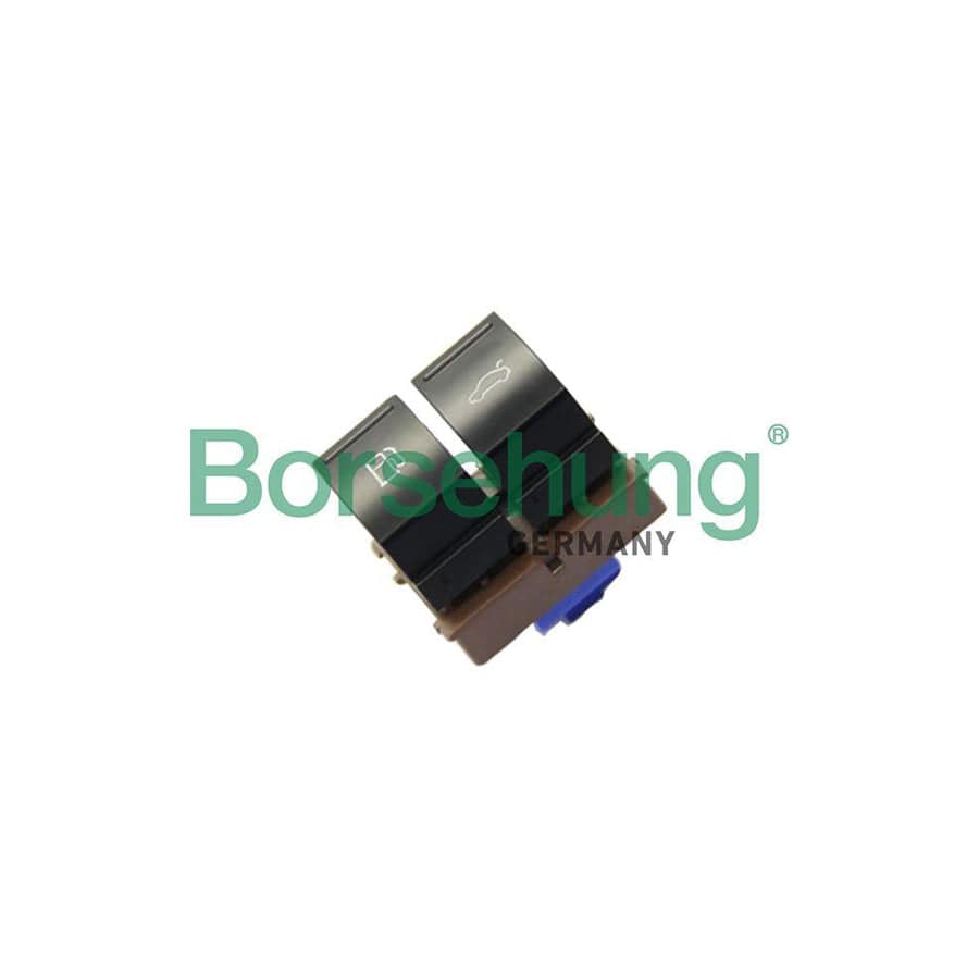 Borsehung B11430 Switch, Tank Cap Unlock