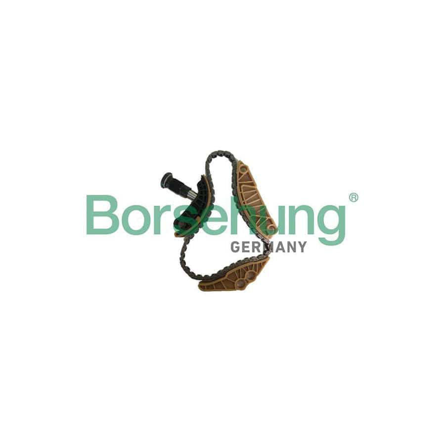 Borsehung B18779 Timing Chain Kit