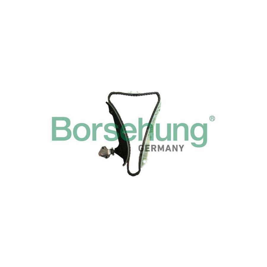 Borsehung B18778 Timing Chain Kit