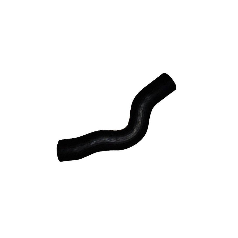 Bugiad 88629 Charger Intake Hose