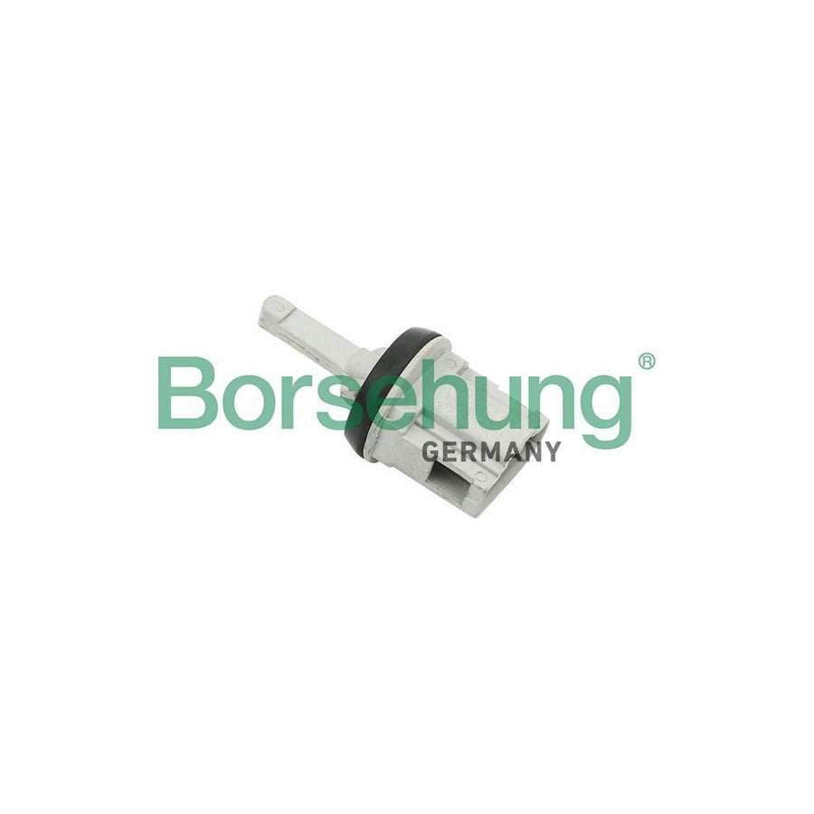 Borsehung B11448 Sender Unit, Interior Temperature